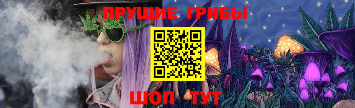 купить наркотики сайты  Галлюциногенные грибы Cubensis  Вход с VPN  Галлюциногенные грибы прущие грибы  Таганрог 
